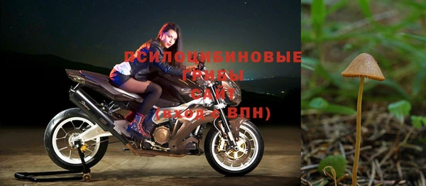 2c-b Алексин