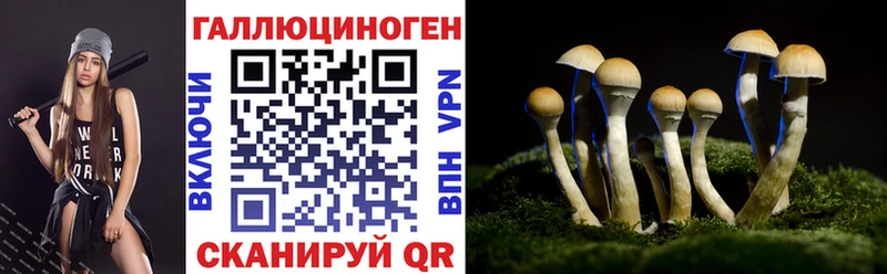 Галлюциногенные грибы Cubensis  цена наркотик  Калтан 